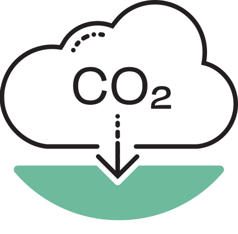 Key Projects: Major Pipelines and Carbon Capture